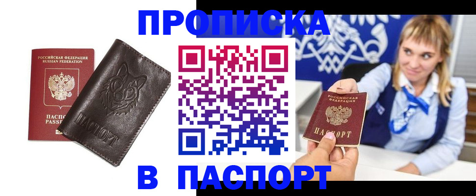 где прописаться в Сосновом Бору
